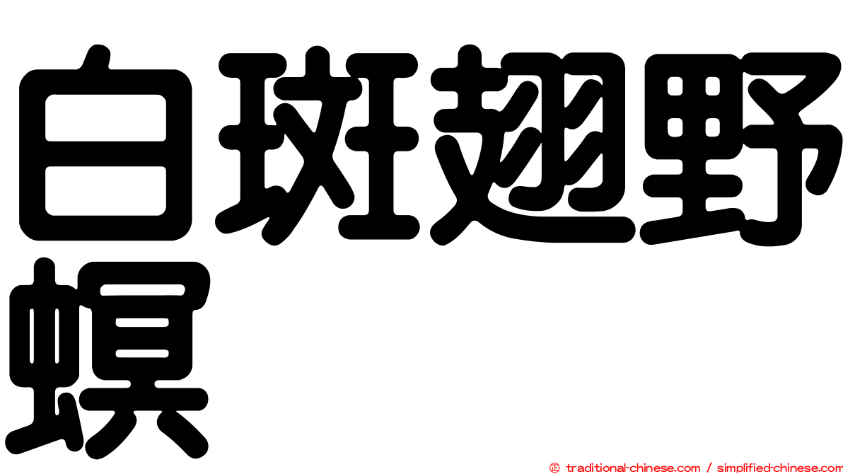 白斑翅野螟