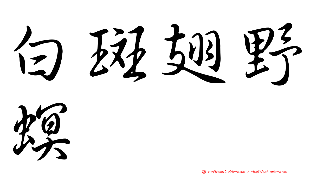 白斑翅野螟