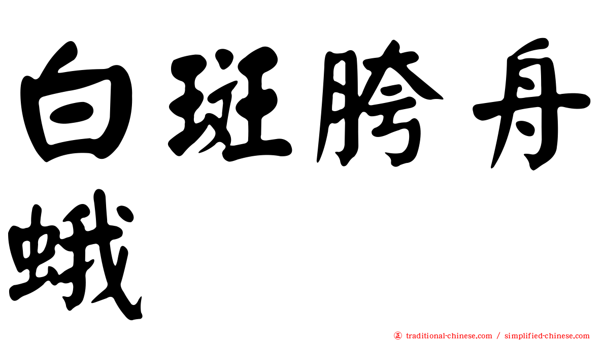 白斑胯舟蛾