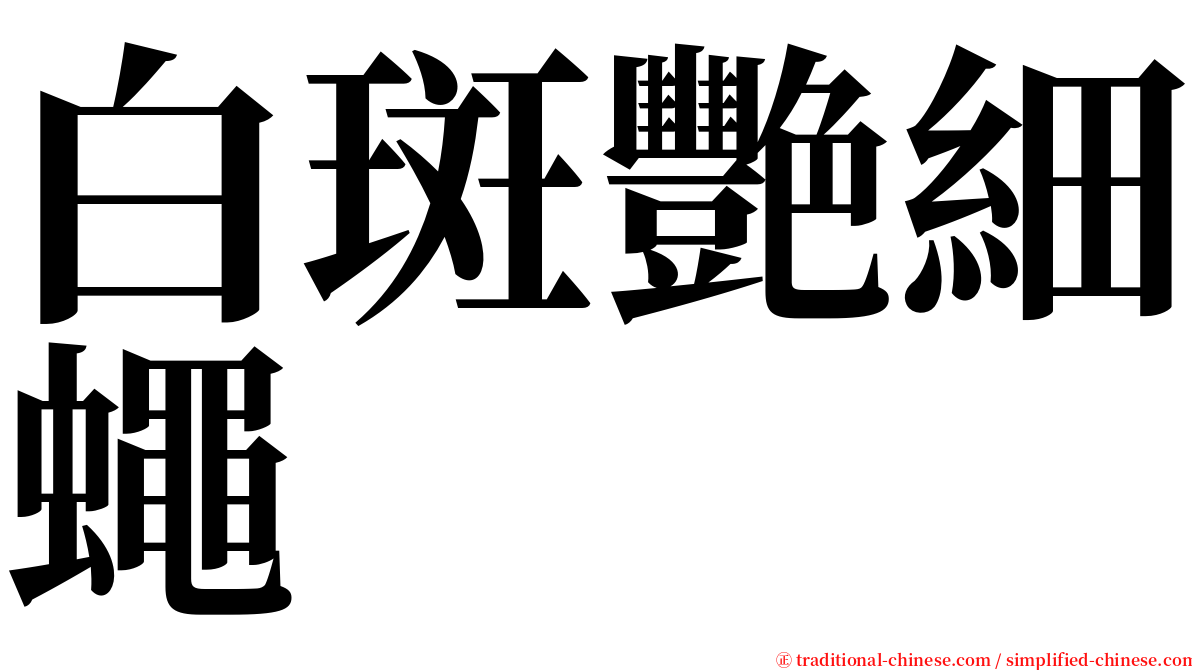 白斑艷細蠅 serif font