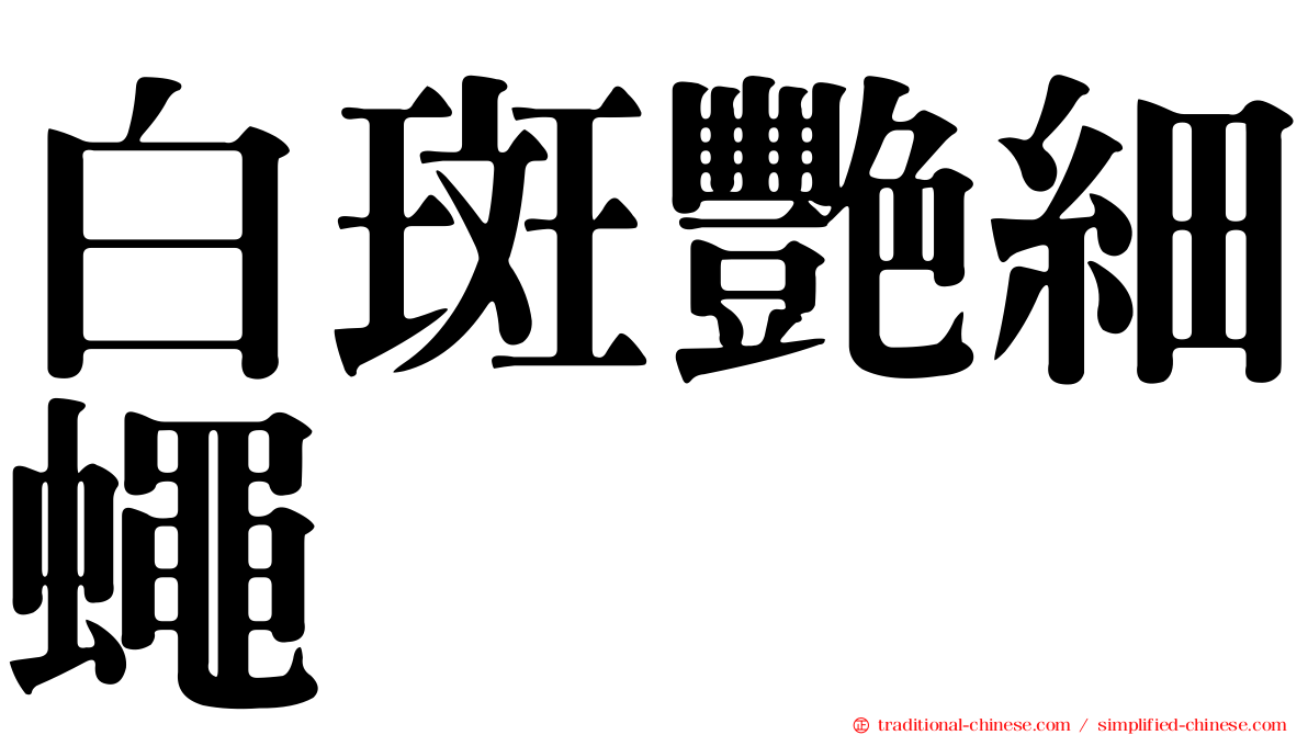 白斑艷細蠅