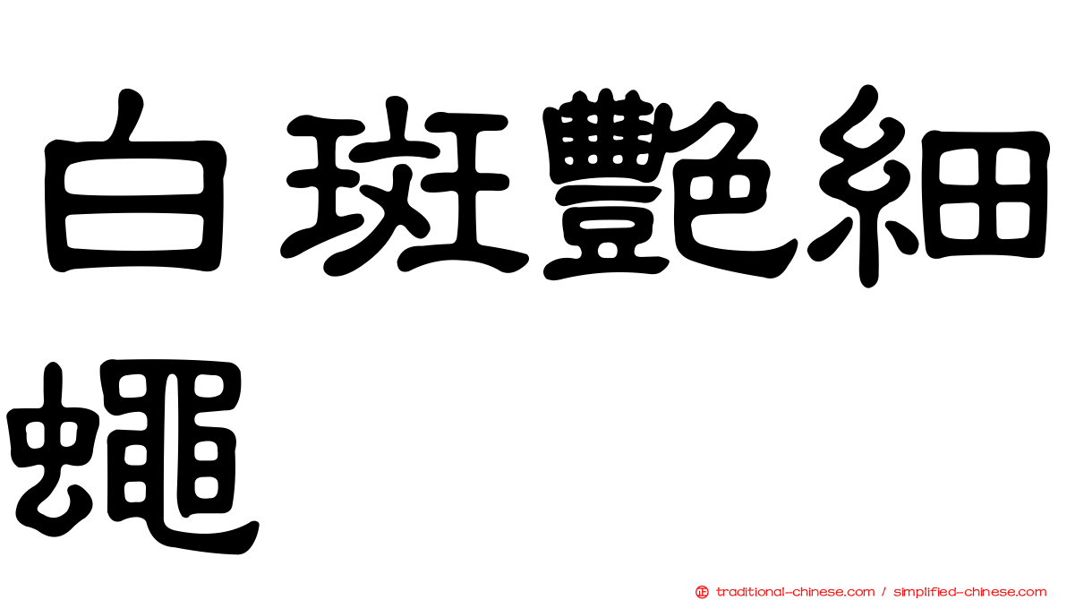 白斑艷細蠅