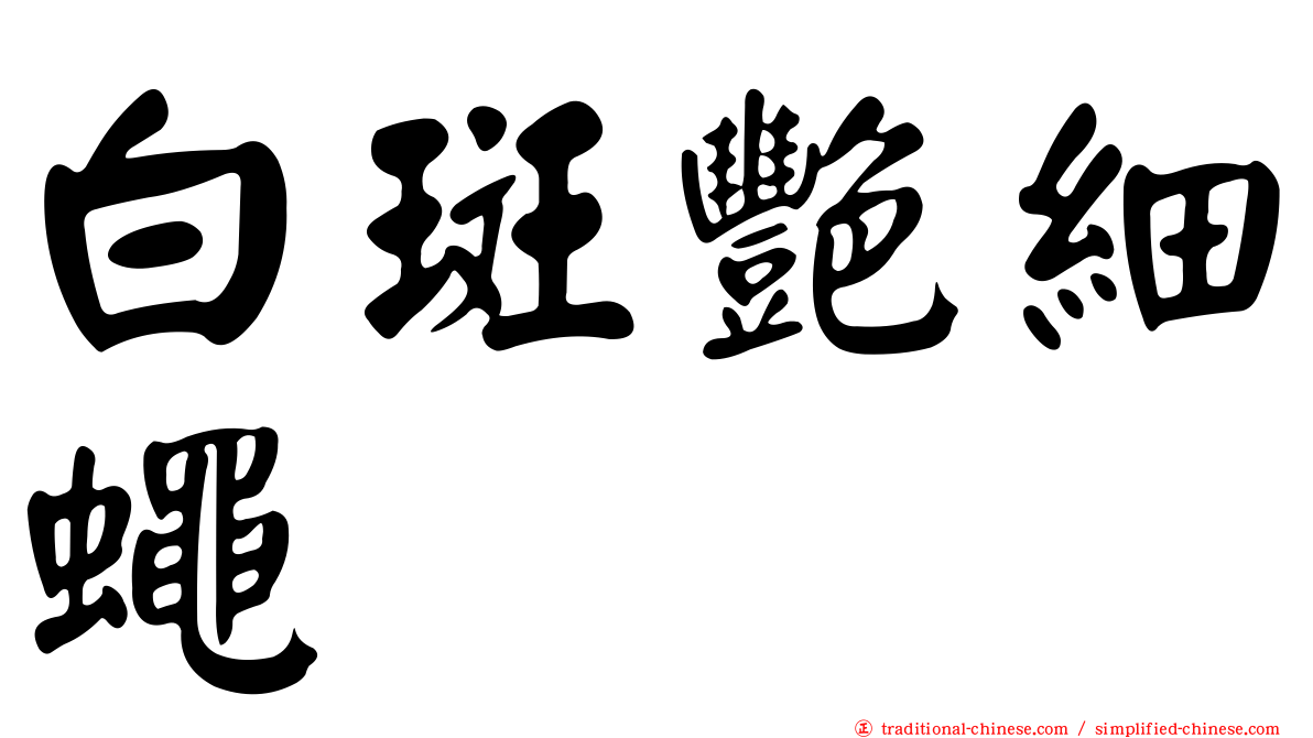 白斑艷細蠅