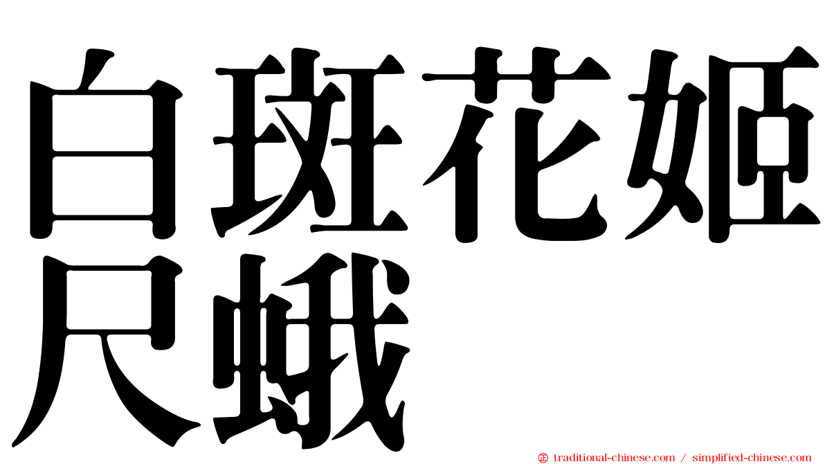 白斑花姬尺蛾