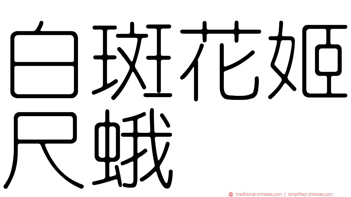 白斑花姬尺蛾