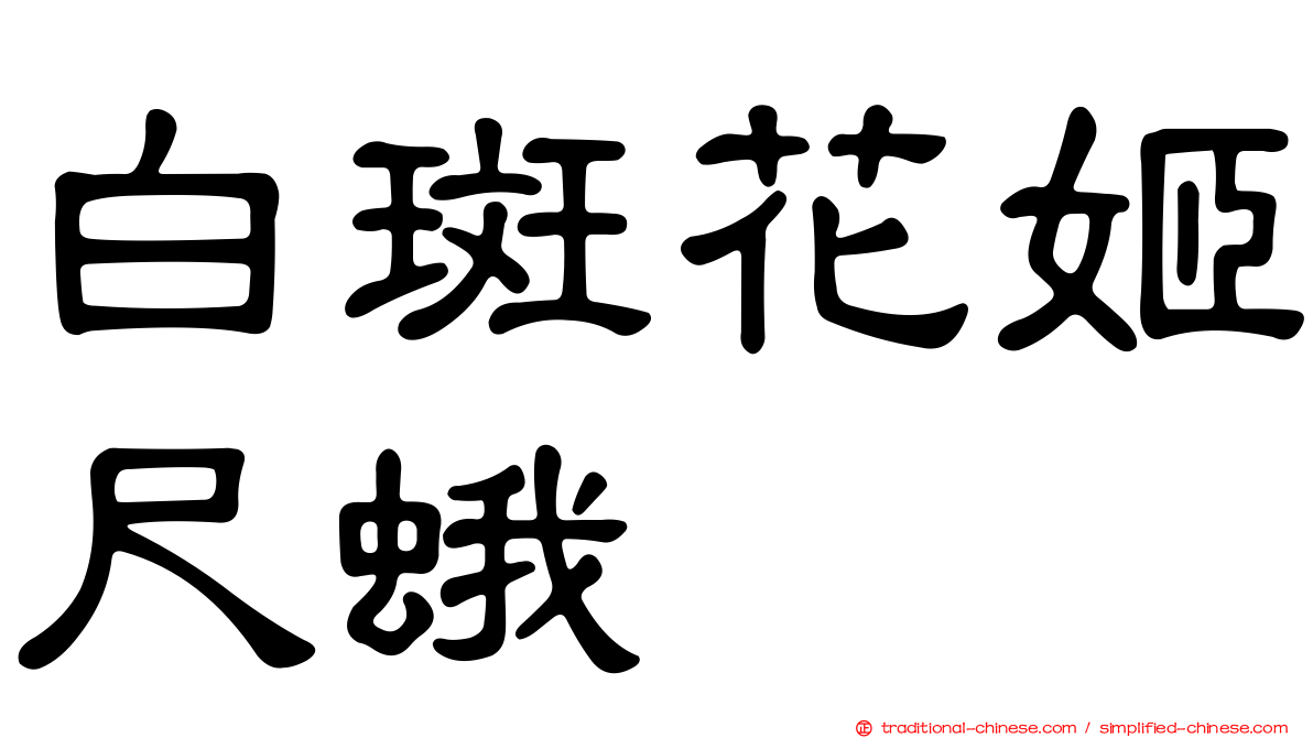 白斑花姬尺蛾