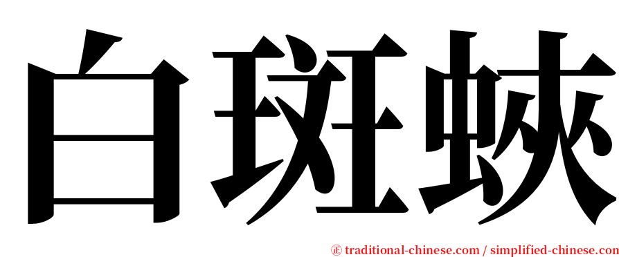 白斑蛺 serif font