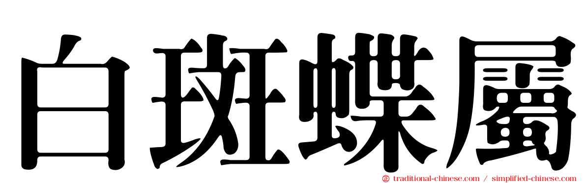 白斑蝶屬