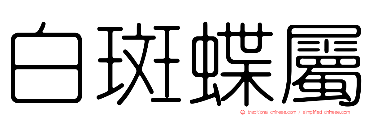白斑蝶屬