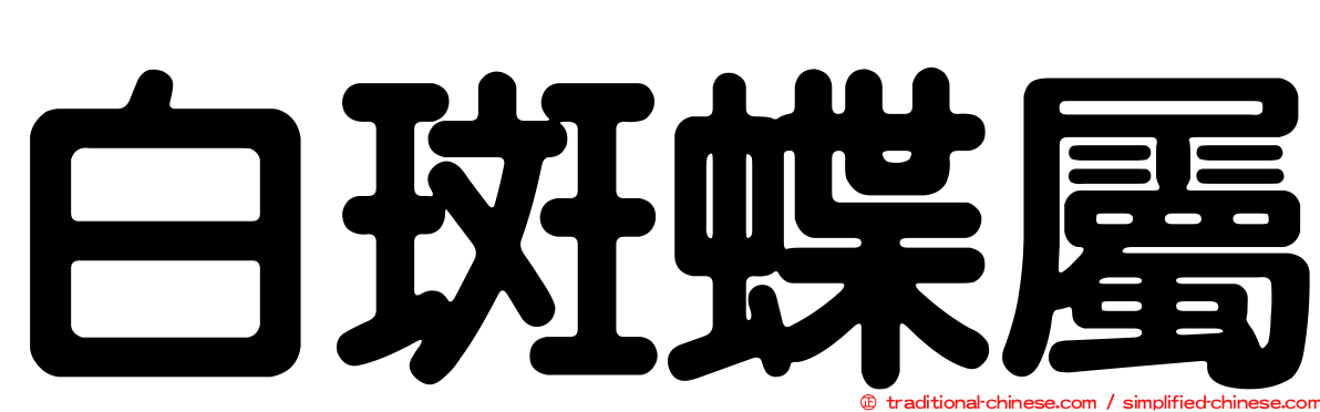 白斑蝶屬