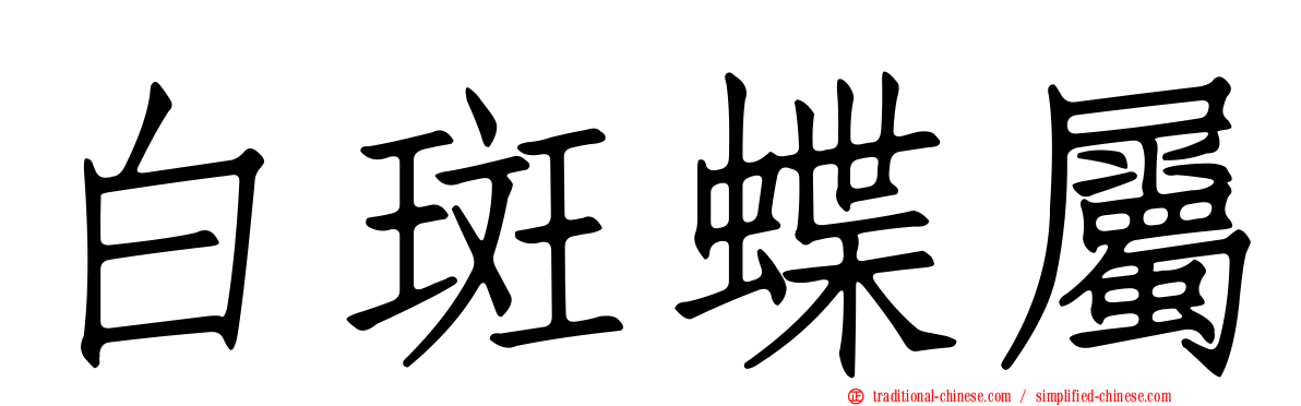 白斑蝶屬