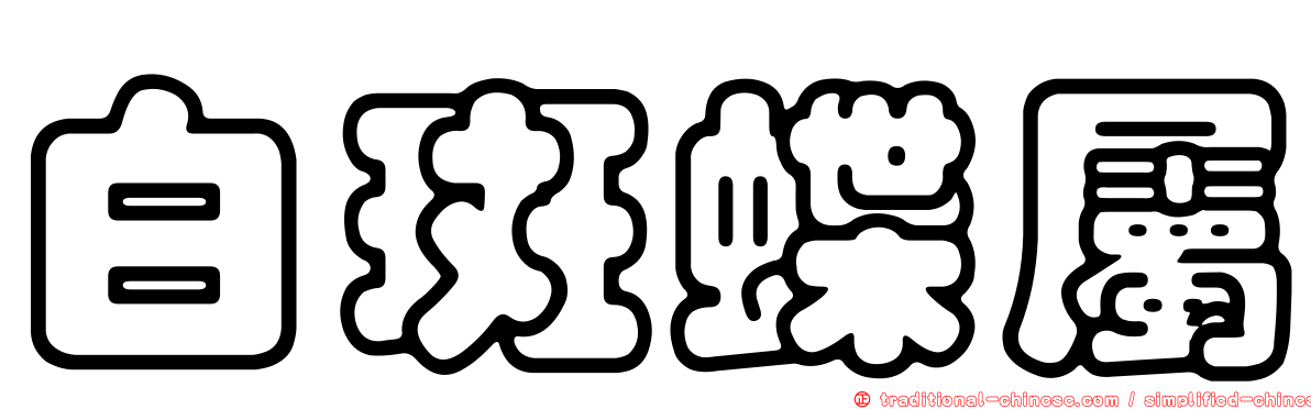 白斑蝶屬