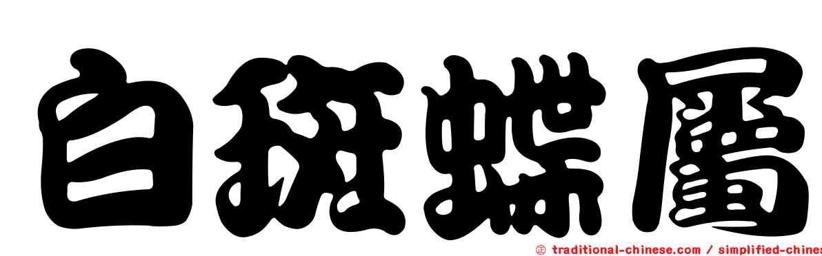 白斑蝶屬