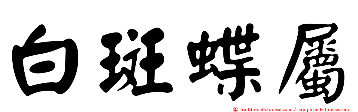 白斑蝶屬