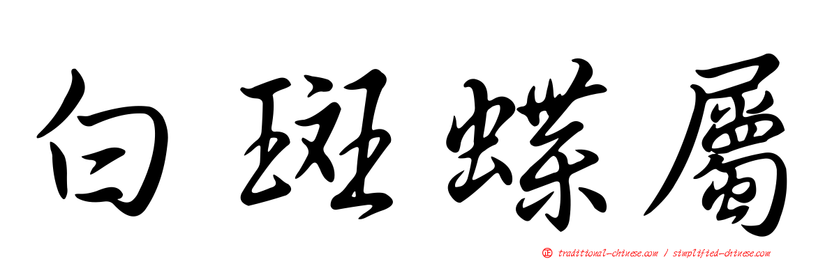 白斑蝶屬
