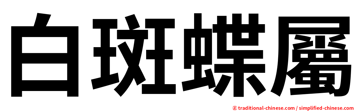 白斑蝶屬