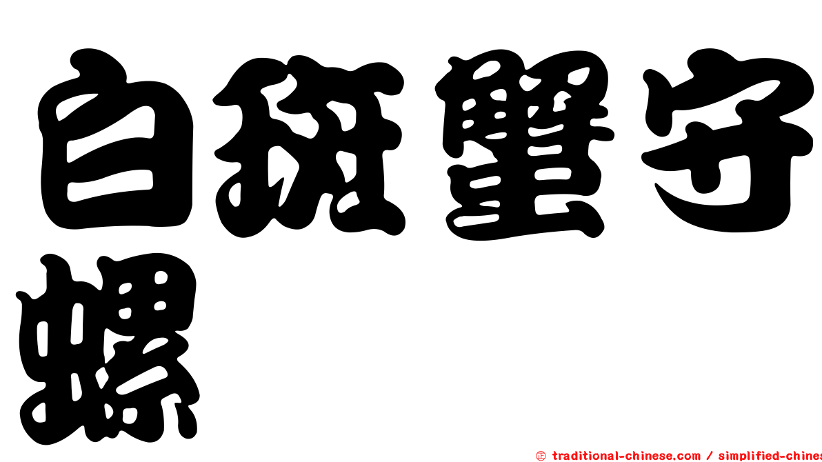 白斑蟹守螺