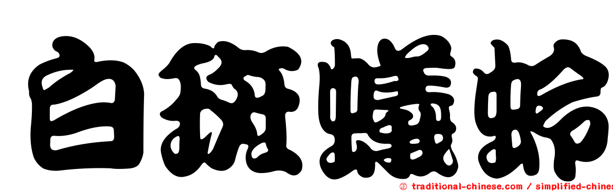 白斑蟻蛉