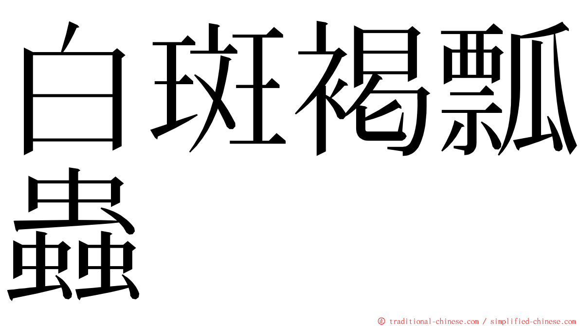 白斑褐瓢蟲 ming font