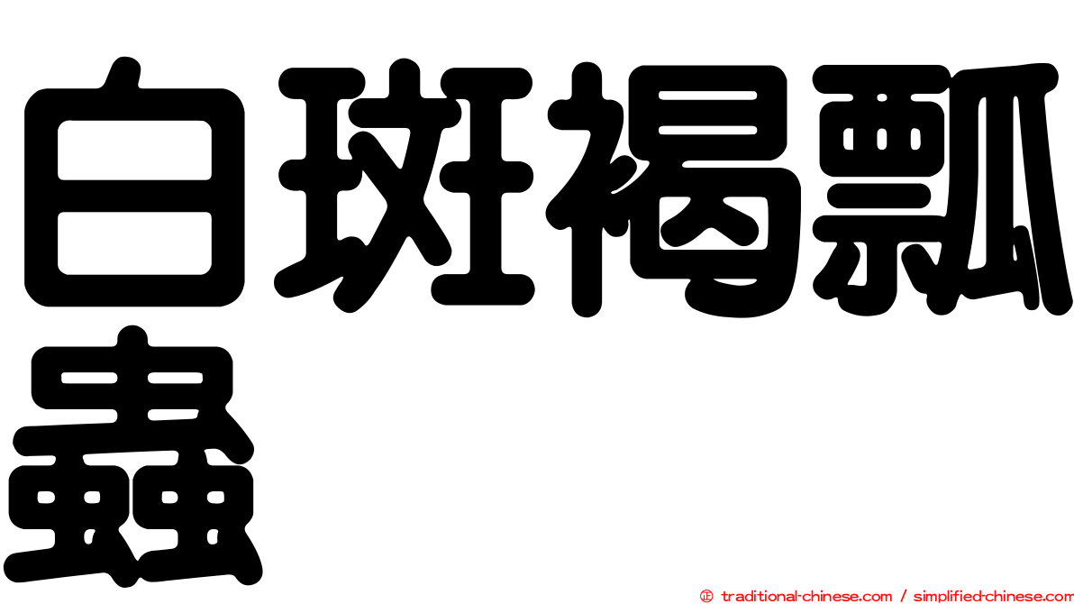 白斑褐瓢蟲