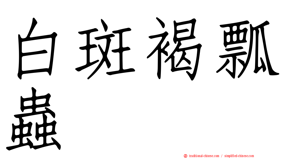 白斑褐瓢蟲
