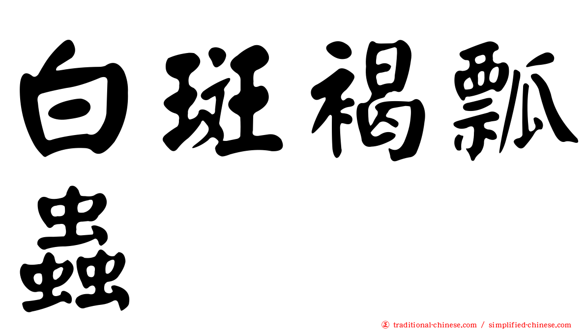 白斑褐瓢蟲