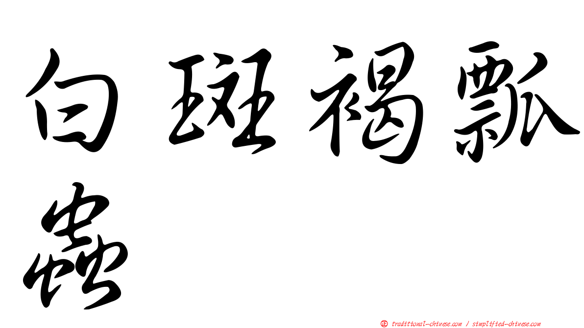 白斑褐瓢蟲