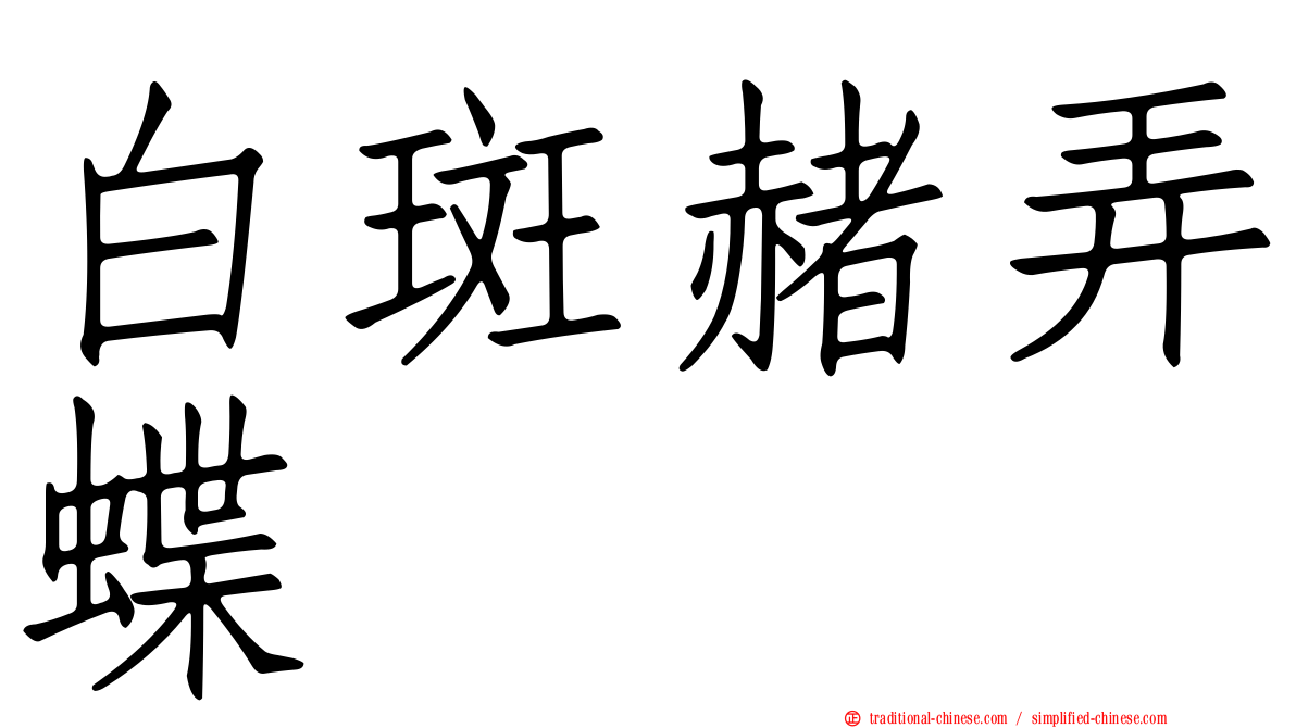 白斑赭弄蝶