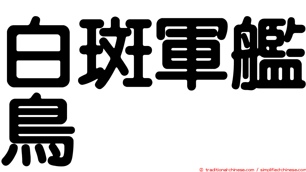 白斑軍艦鳥
