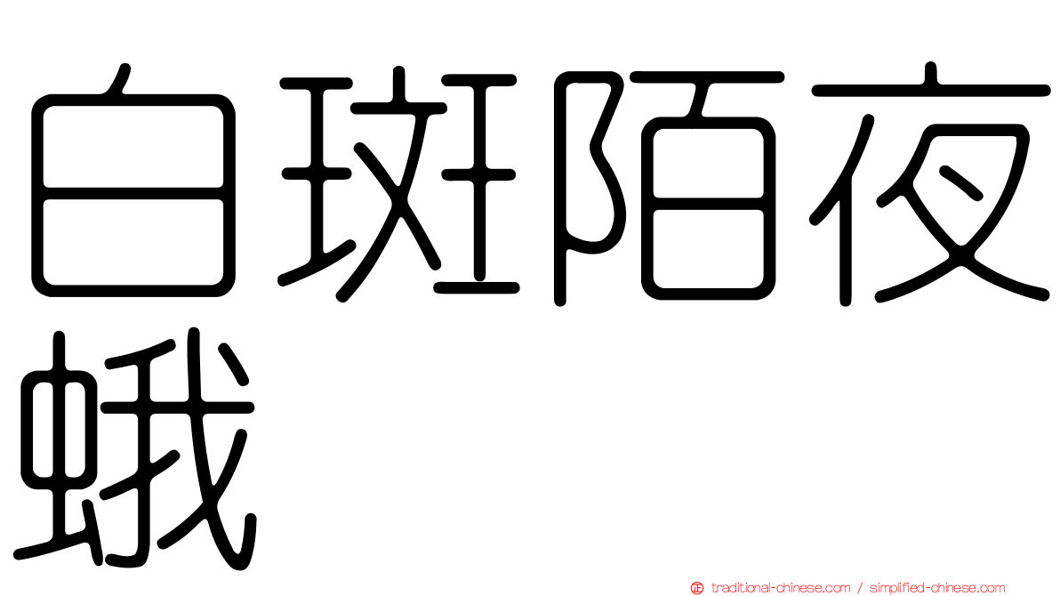 白斑陌夜蛾