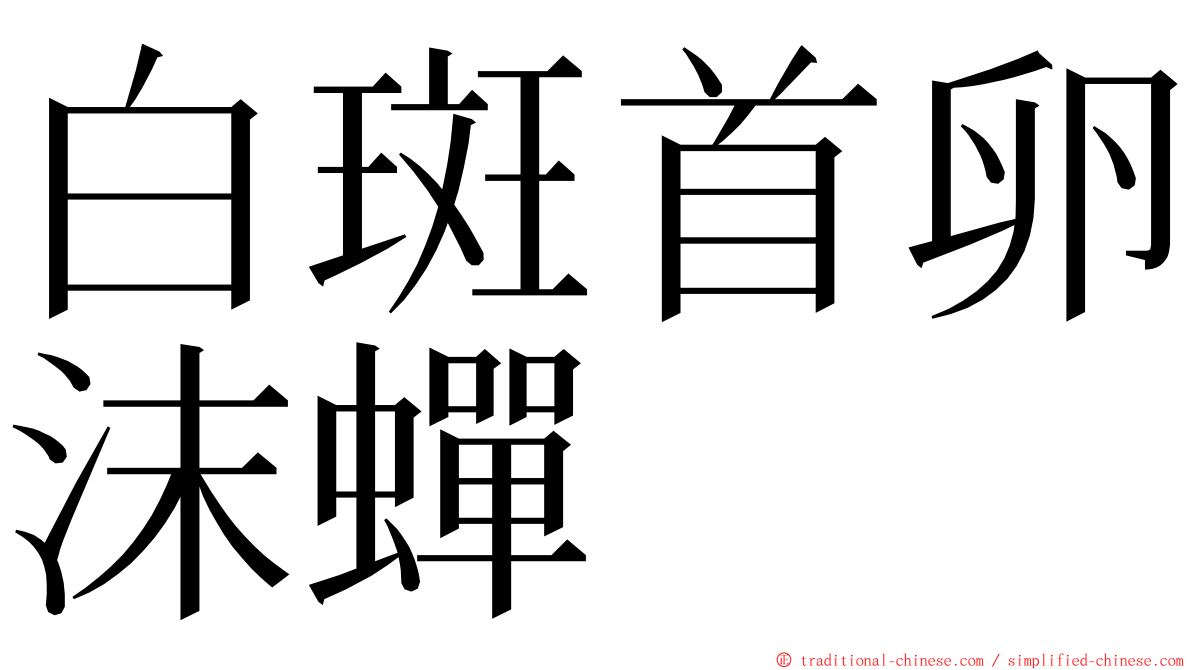 白斑首卵沫蟬 ming font