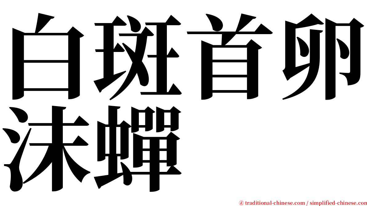 白斑首卵沫蟬 serif font
