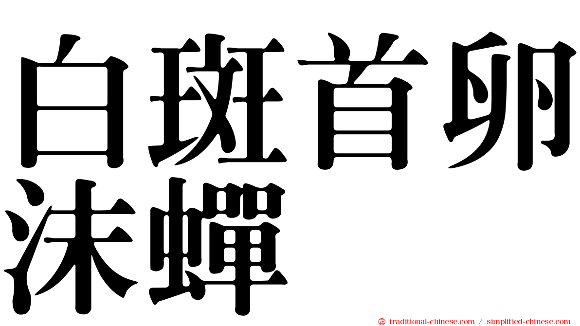 白斑首卵沫蟬