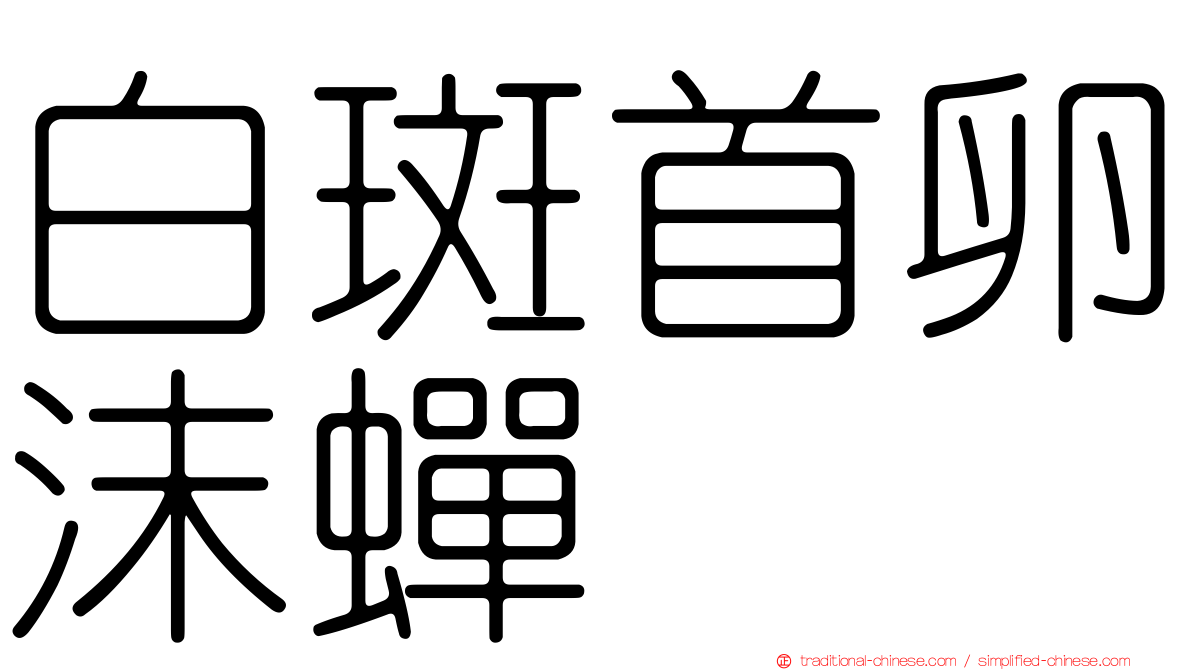 白斑首卵沫蟬