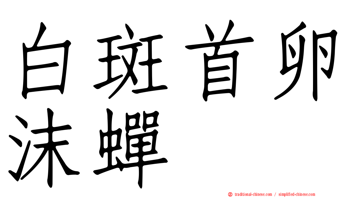 白斑首卵沫蟬