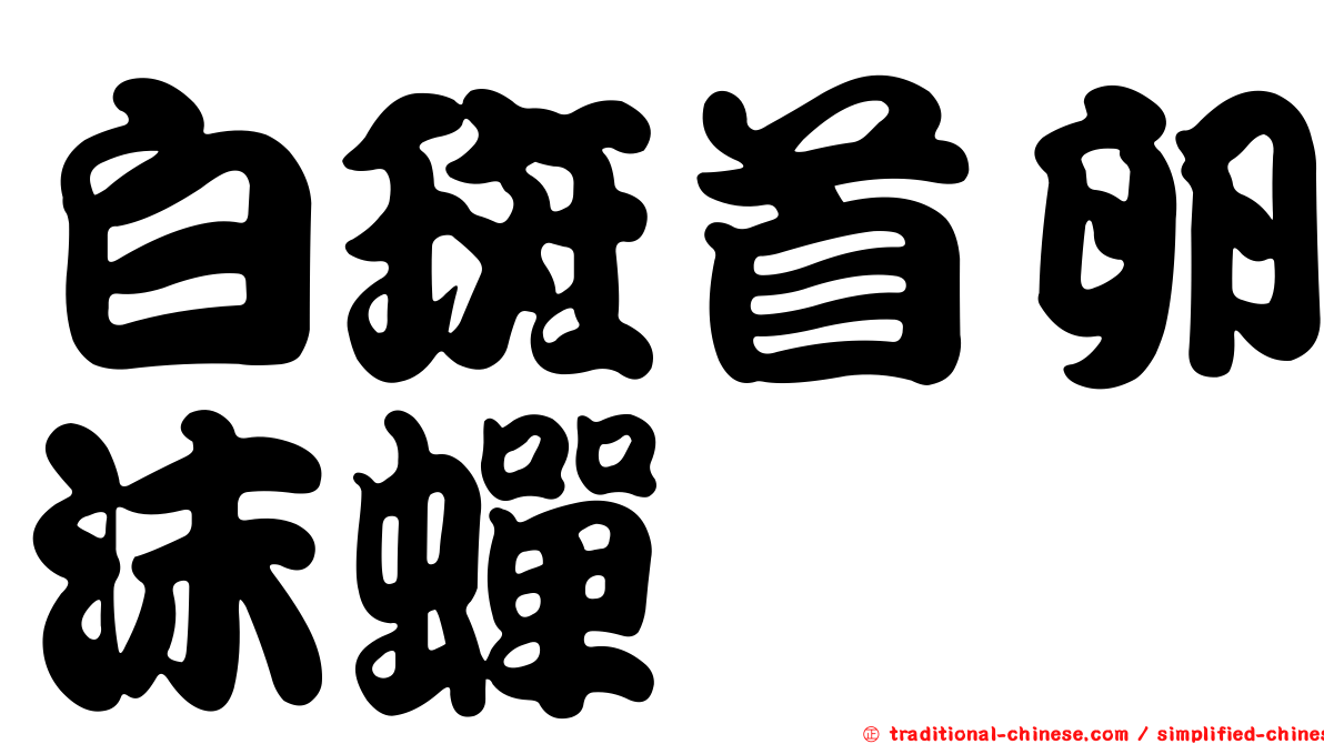 白斑首卵沫蟬