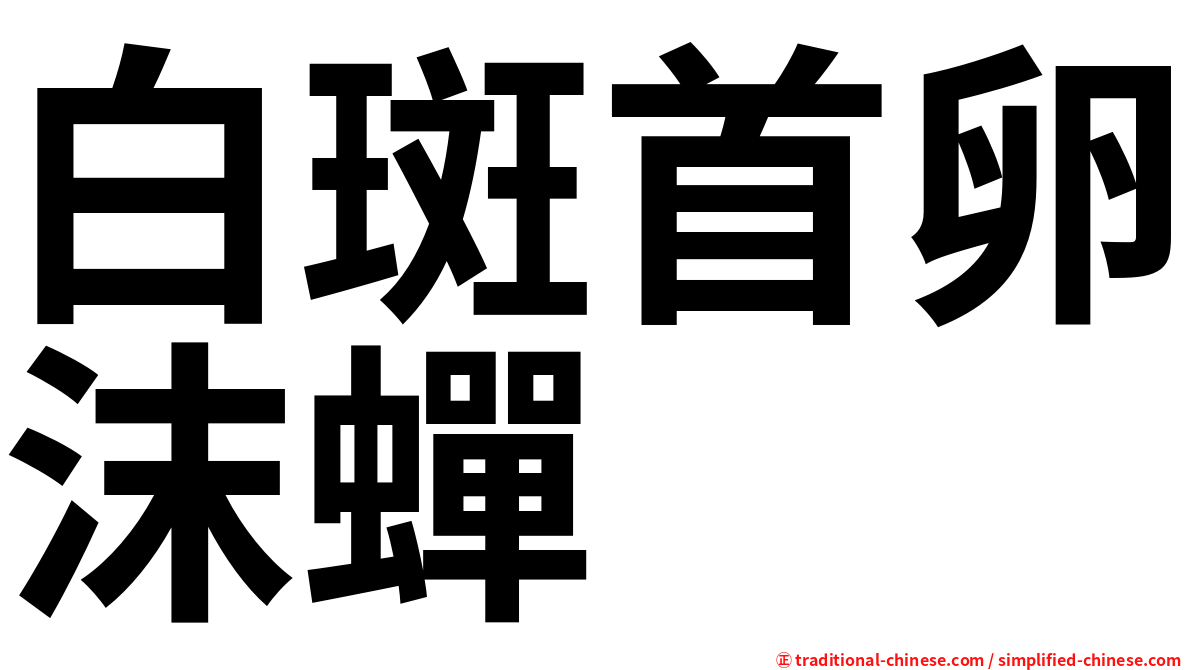 白斑首卵沫蟬
