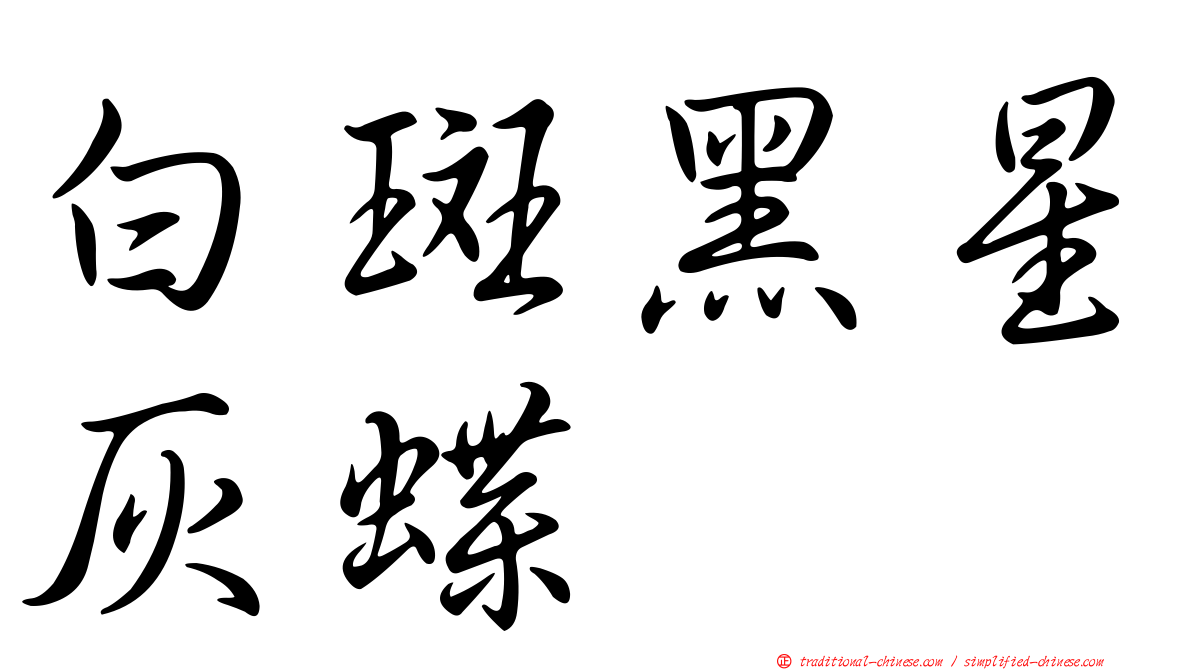白斑黑星灰蝶