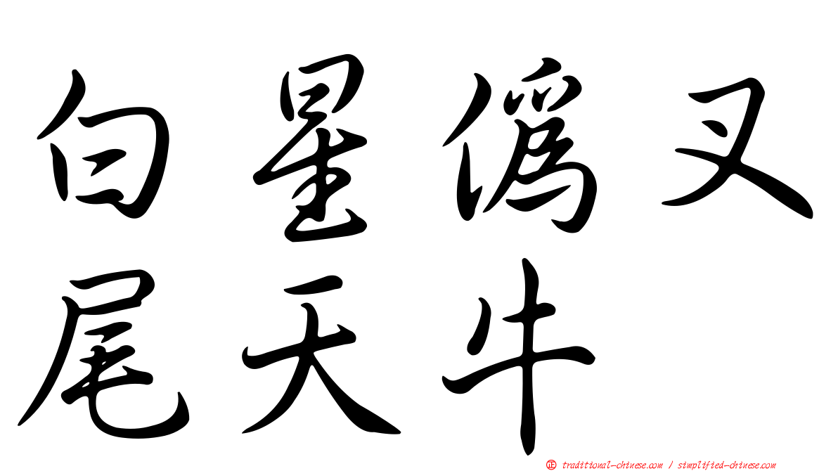 白星偽叉尾天牛