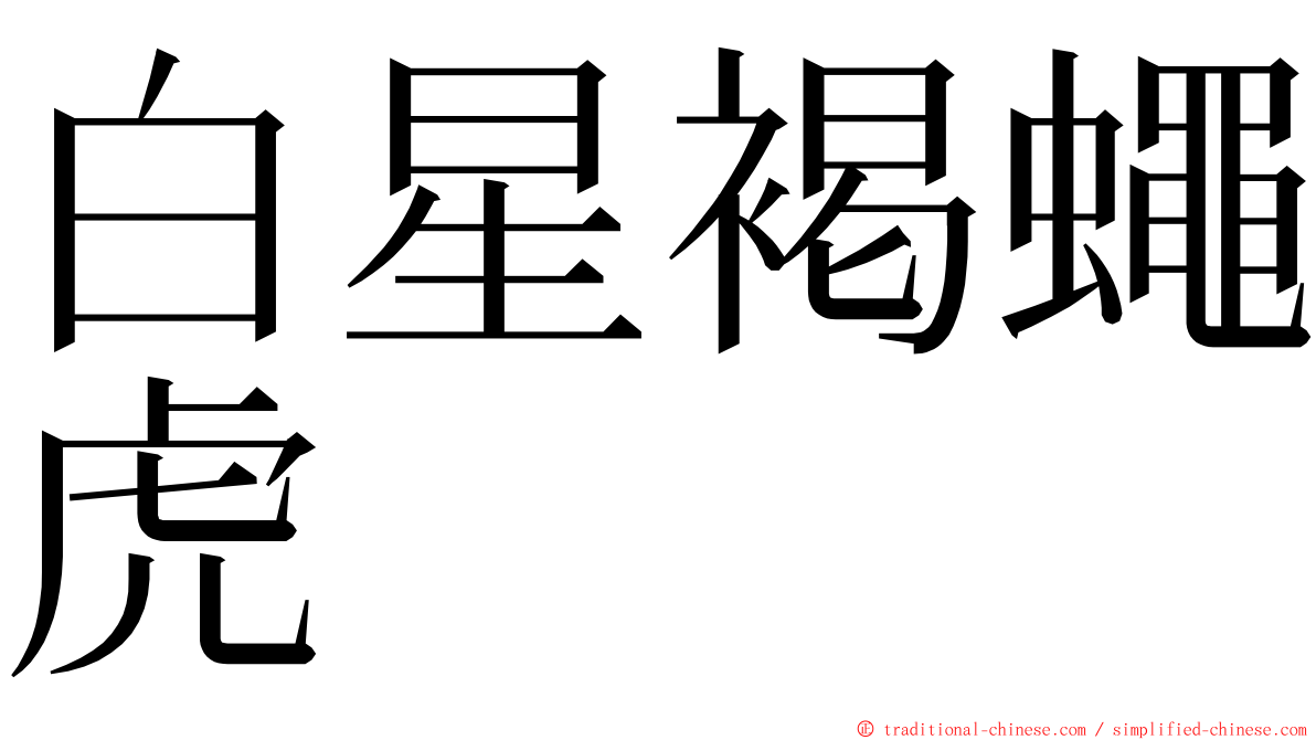 白星褐蠅虎 ming font