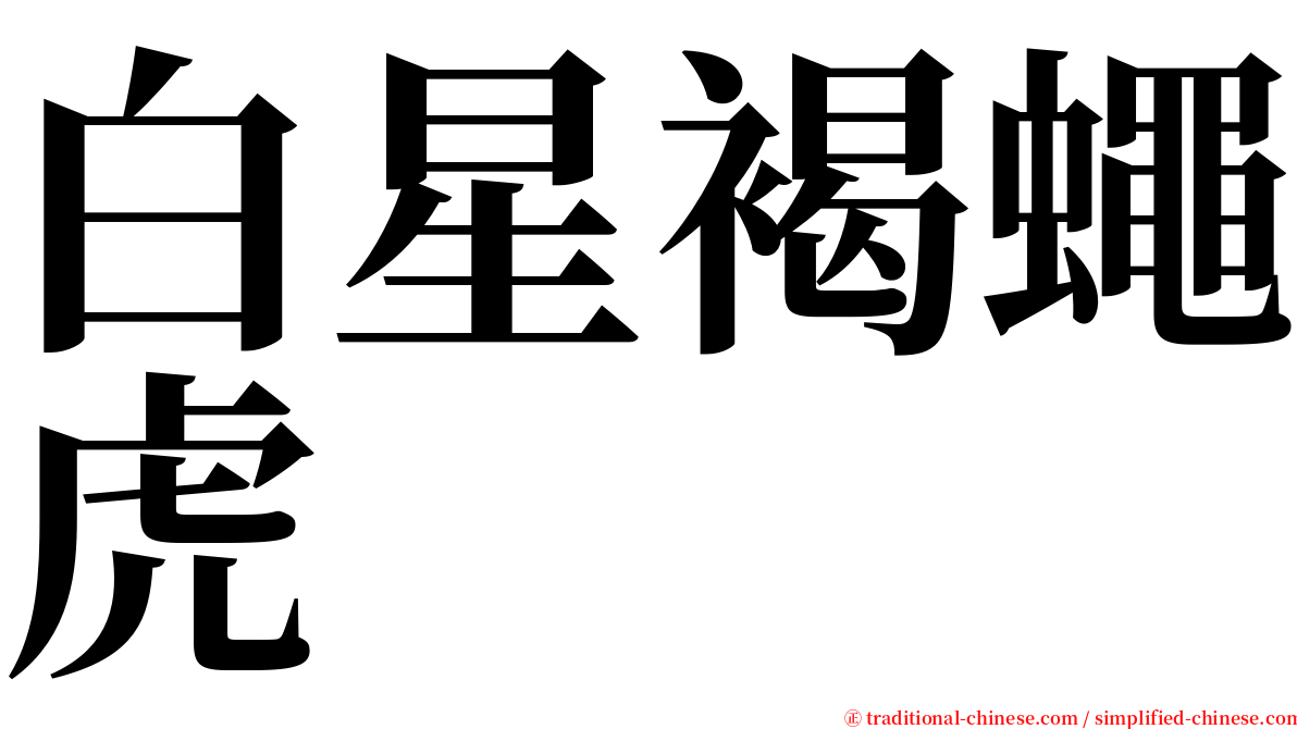 白星褐蠅虎 serif font