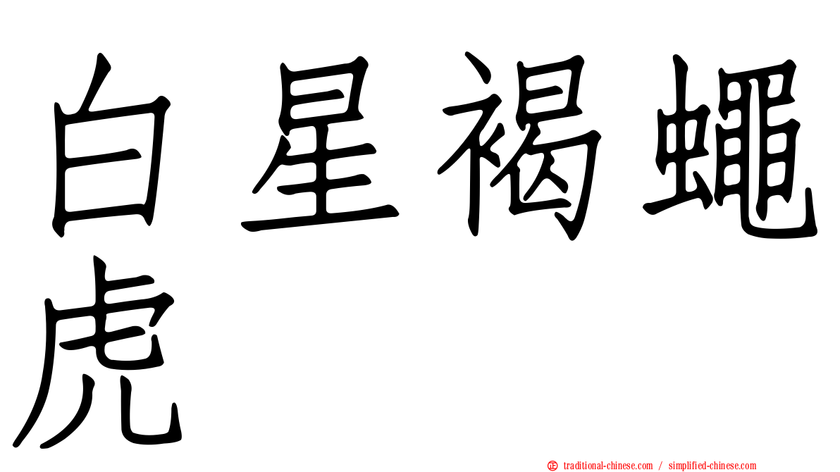 白星褐蠅虎