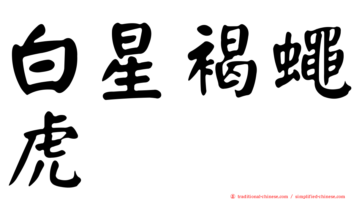 白星褐蠅虎