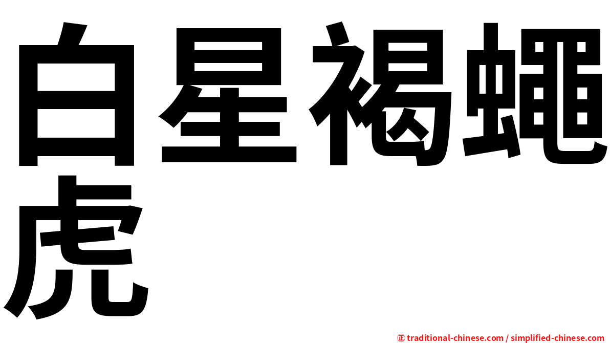 白星褐蠅虎