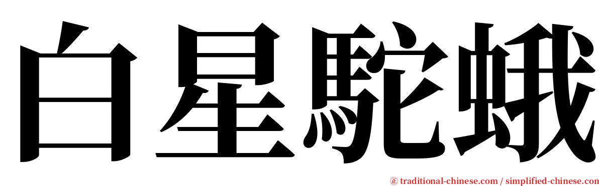 白星駝蛾 serif font