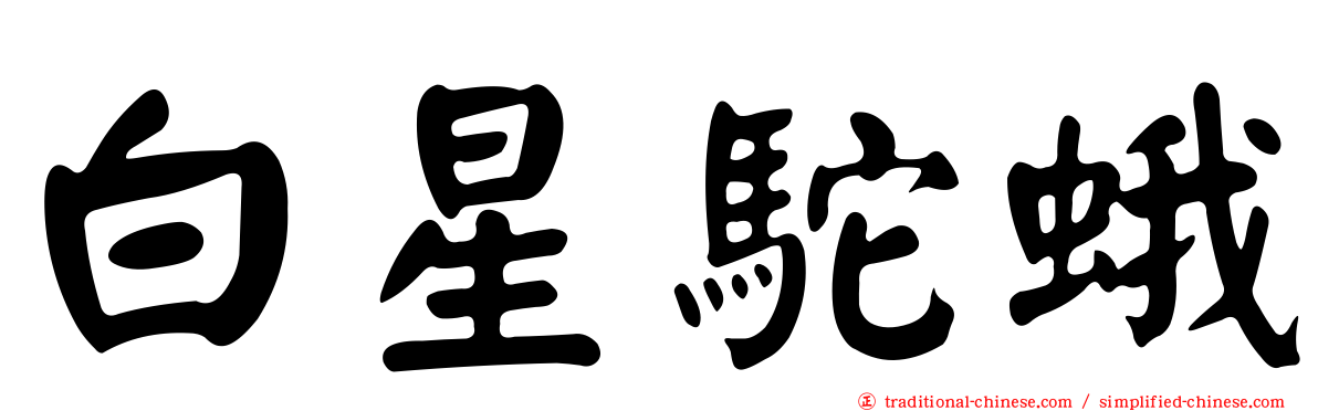 白星駝蛾