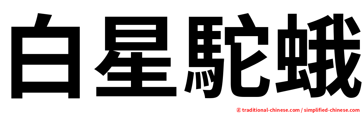 白星駝蛾