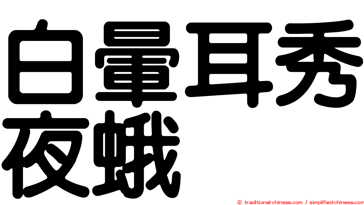 白暈耳秀夜蛾