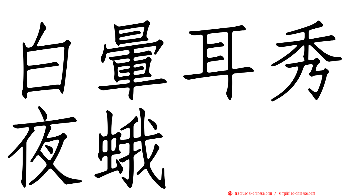 白暈耳秀夜蛾
