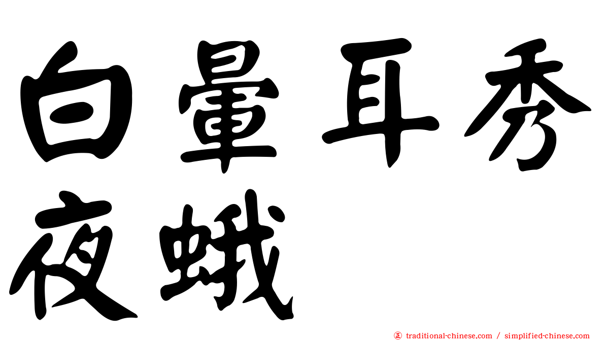 白暈耳秀夜蛾